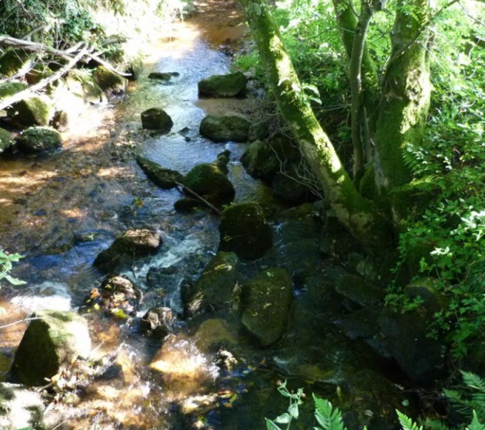 stream running by at Eden Valley Holiday park