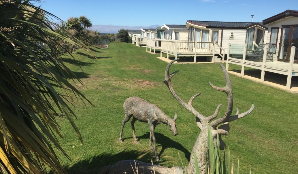 New Dolphin Caravan park image