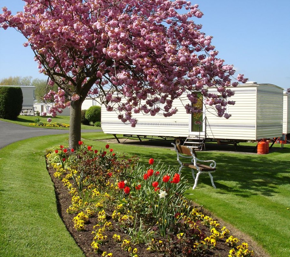 holiday homes to buy at Brook Lane Caravan Park