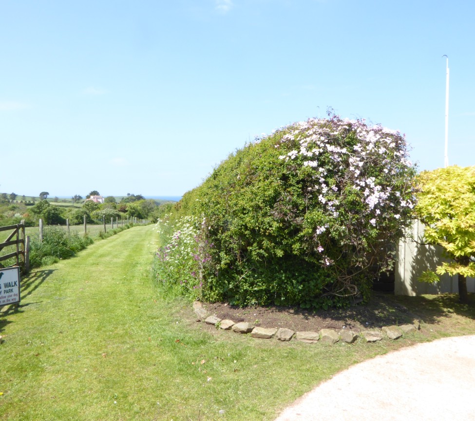 walks around Bolberry House Farm Caravan & Camping Park