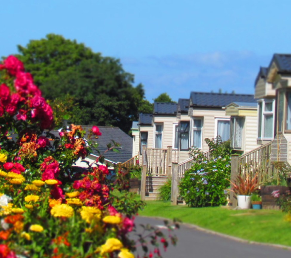 Caravans for sale at Hele Valley Holiday Park