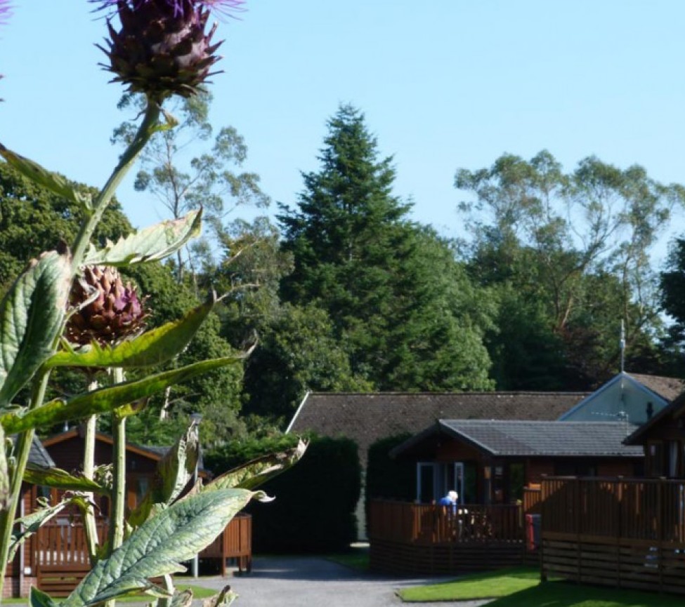 holiday lodges at Eden Valley Holiday park