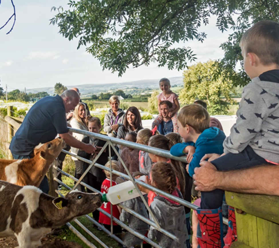 Parkers Farm Holiday Park in Newton Abbot in Devon