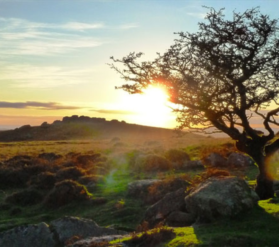 eveining sunset over Langstone Manor Caravan Park