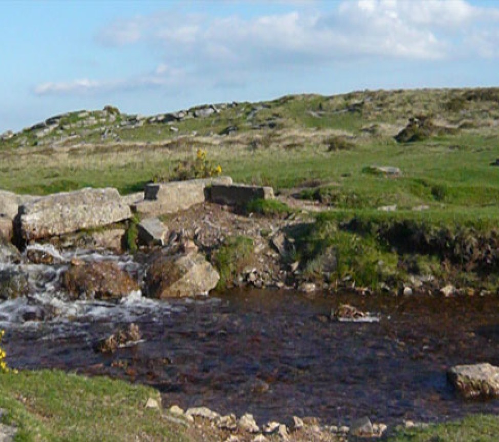 walks around Langstone Manor Caravan Park