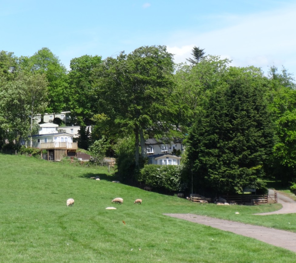 Nichols Nymett Caravan Park in Okehampton in Devon