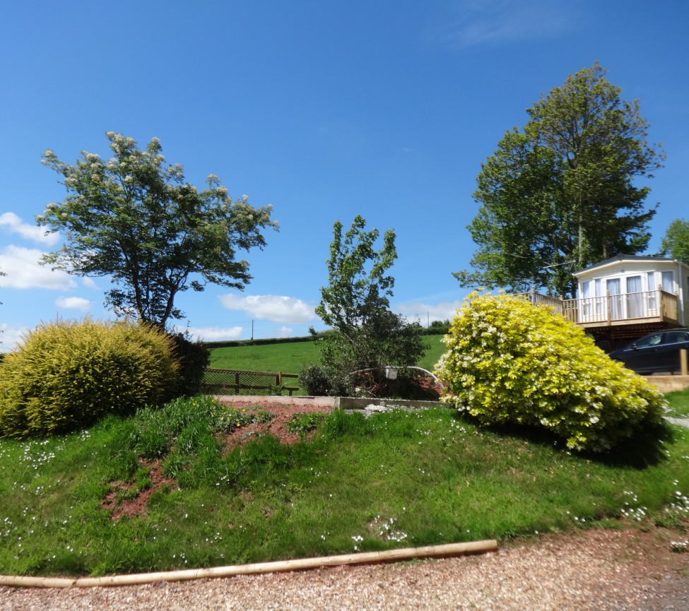 static caravans for sale at Nichols Nymett Caravan Park