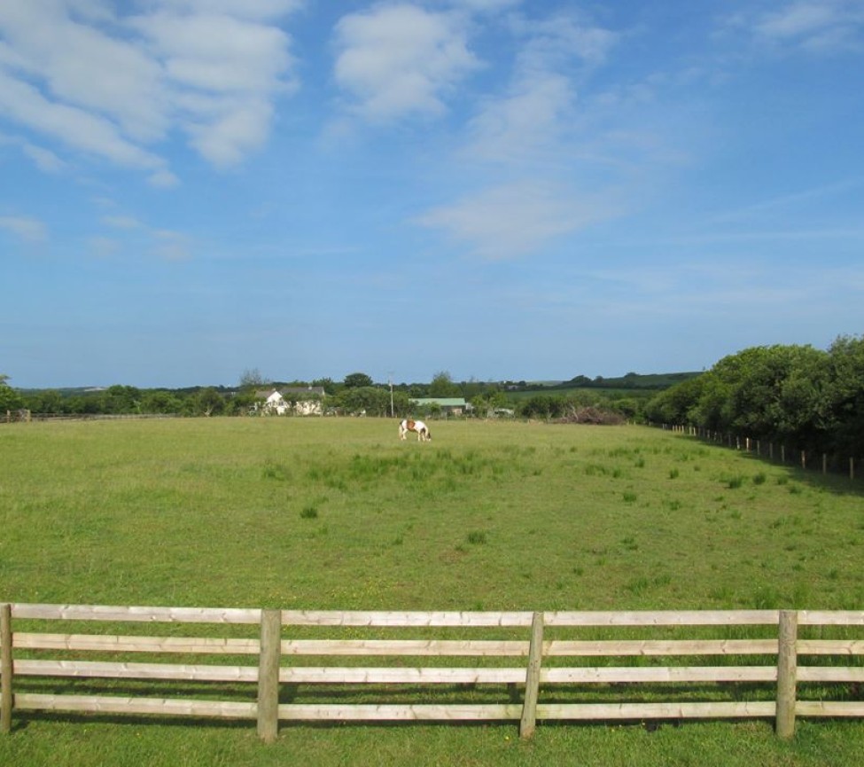 fields around Noteworthy Farm