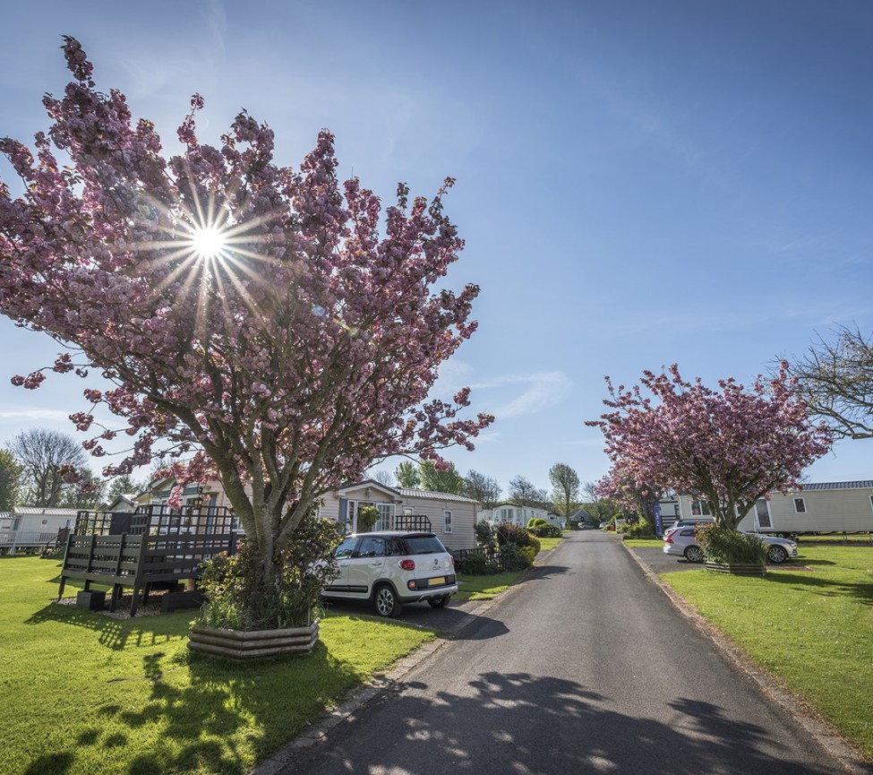 holiday homes to buy at Larkfield Caravan Park