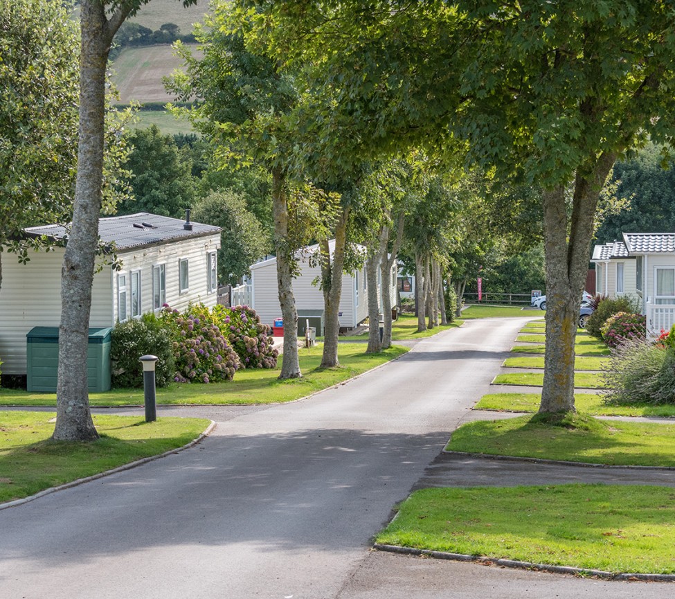 Golden Cap Caravan Park in chideok