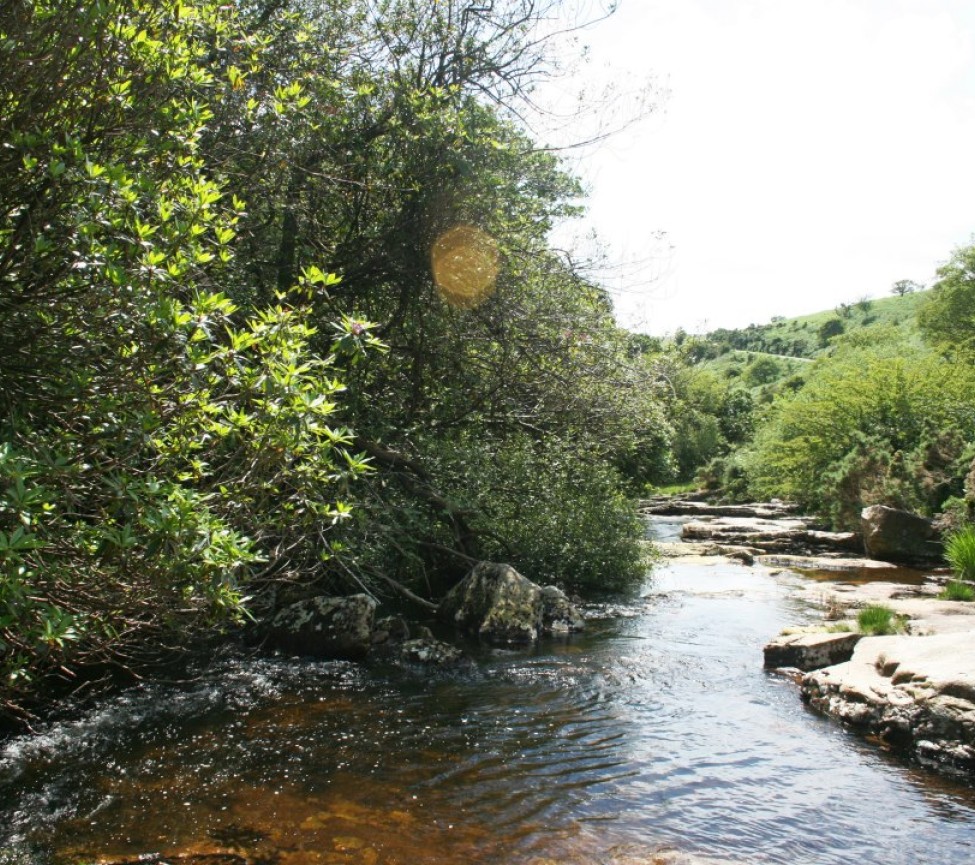 Webland Farm holiday park in South Brent in Devon