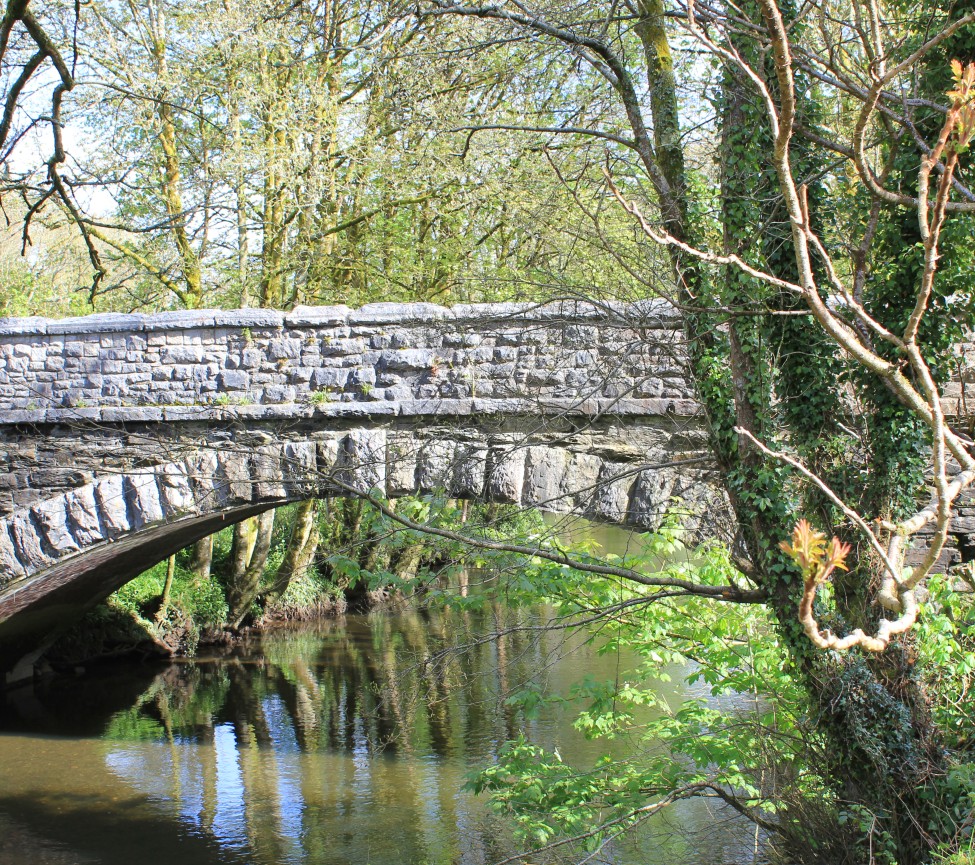 bridge over the river at Notter Bridge Park