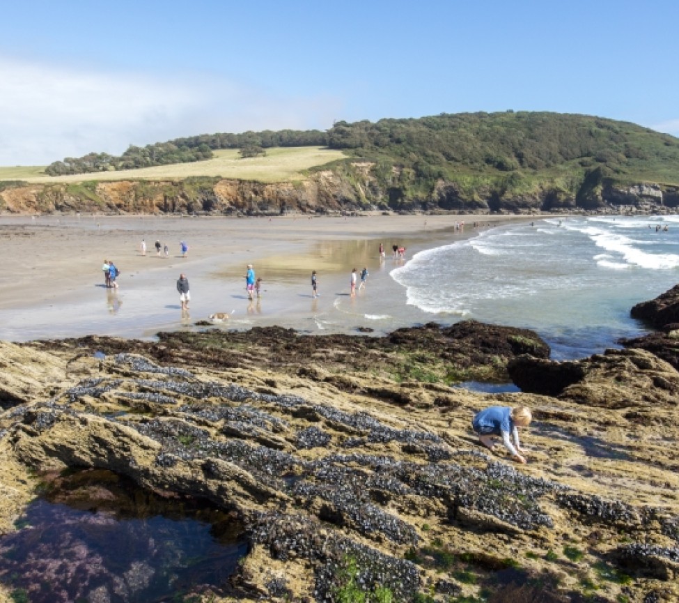 beaches nearby at Heligan Park Holiday Park