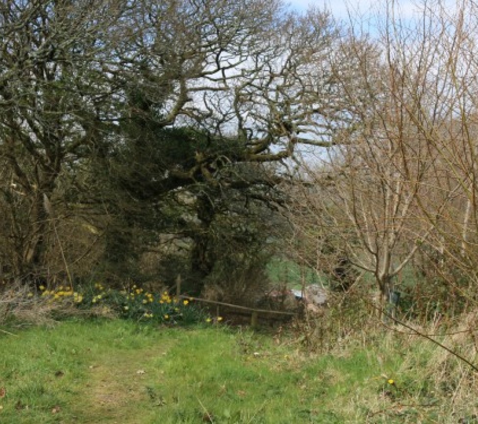 walks around Widend Camping Park