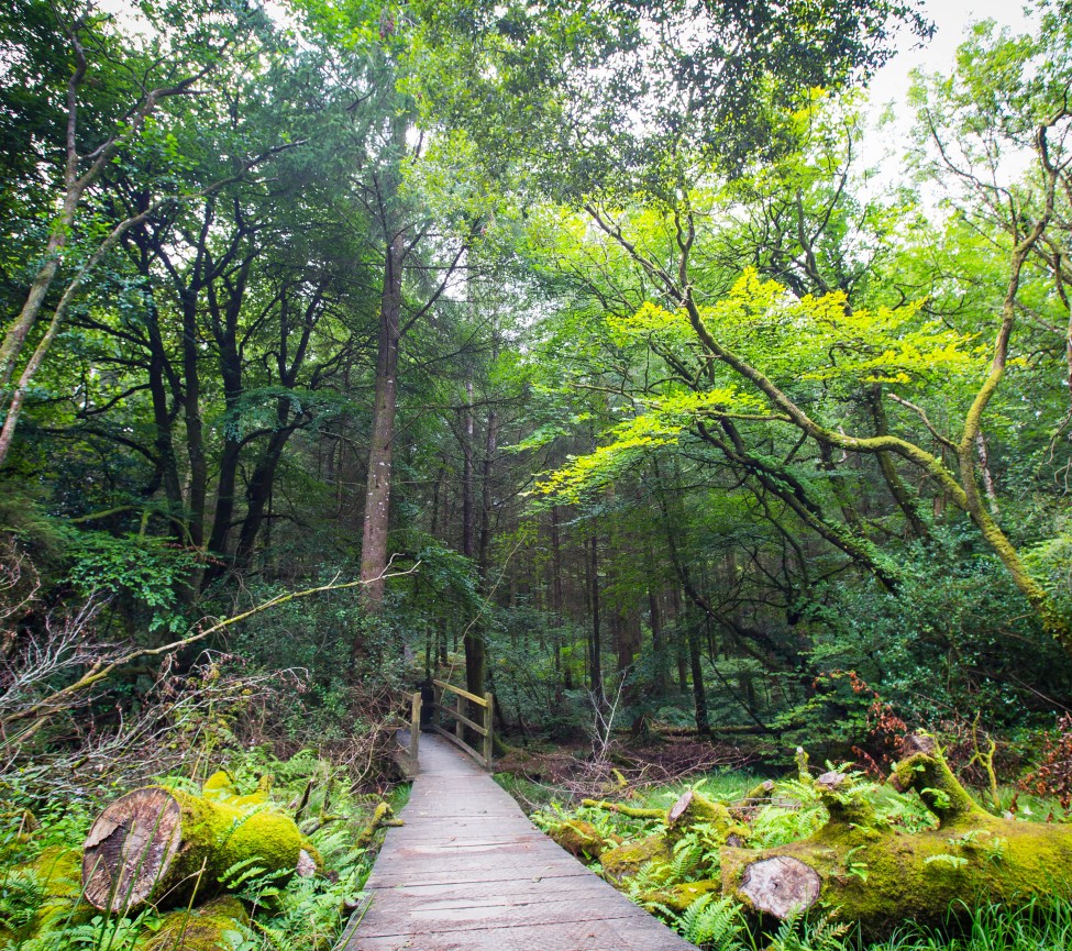 Smytham Holiday Park walks around the gardens
