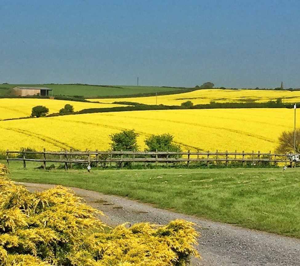 Bolberry House Farm Caravan & Camping Park stunning location in Devon