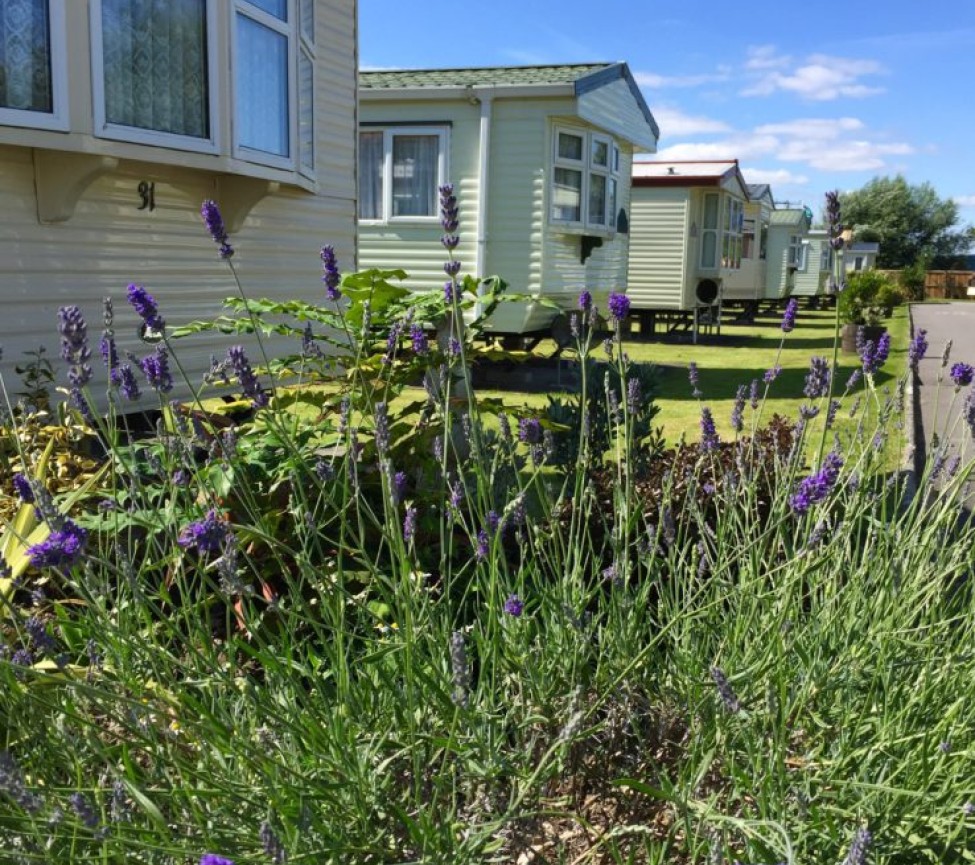 Meadow Lee Holiday Park in Weston Super Mare in Somerset