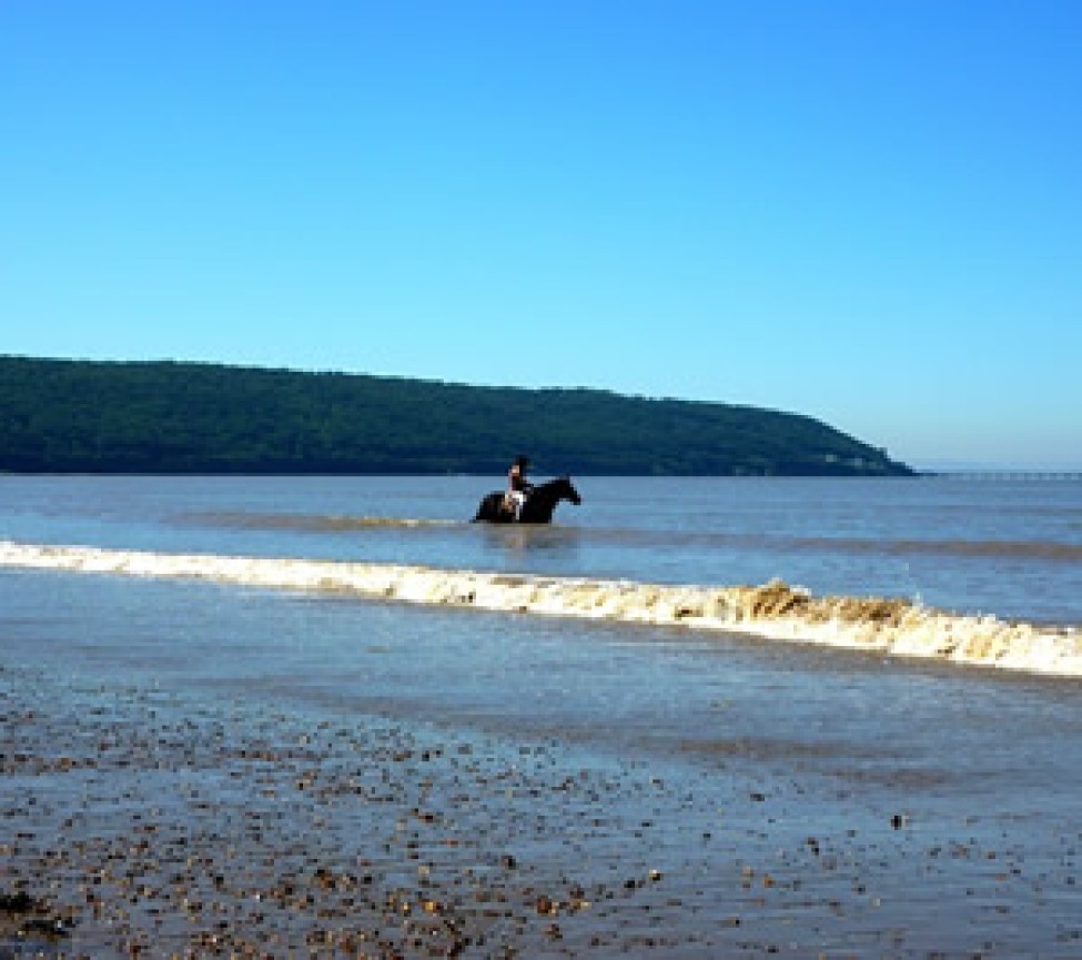 Swallow Point Caravan Park by the beach in Somerset