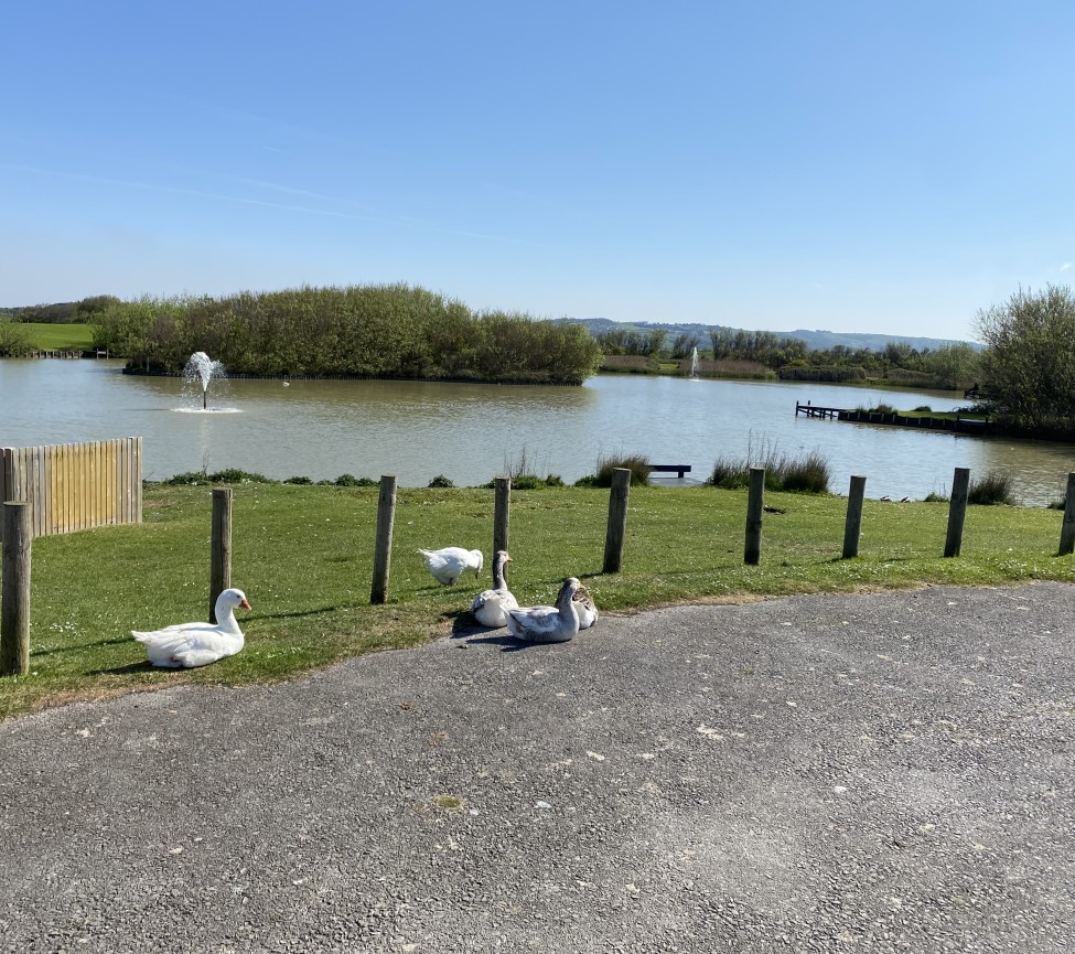 Warren Farm Holiday Centre view of the lake