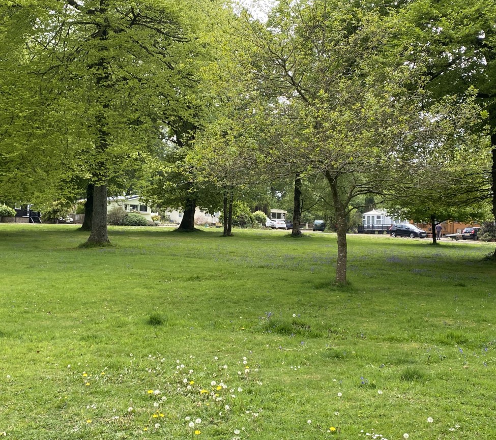 South Somerset Holiday Park green spaces to enjoy