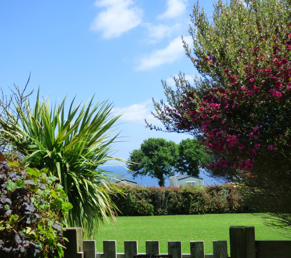 view of the grounds at Gwendreath Farm Holiday Park