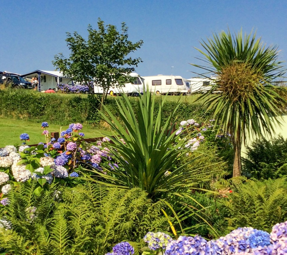 view of the grounds at Music Water Holiday Park