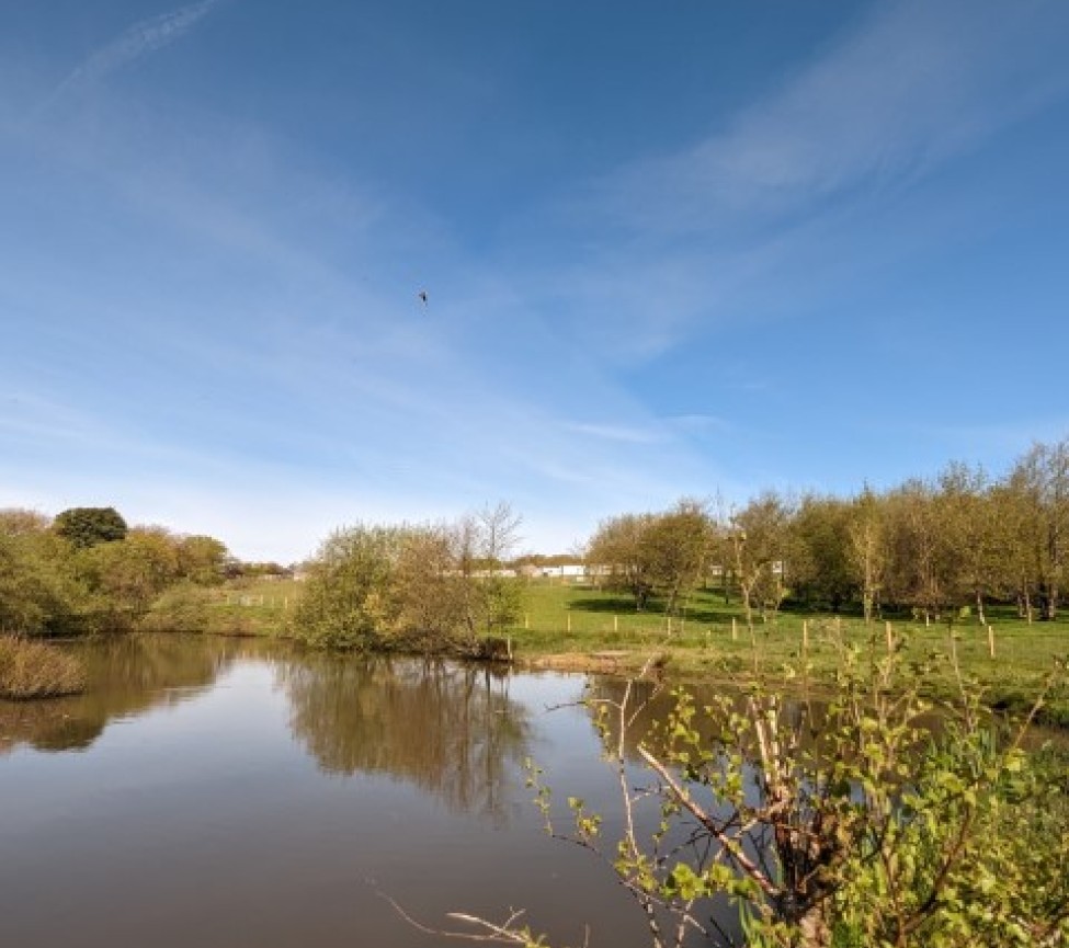 Chelsfield Farm Holiday Park fishing lake