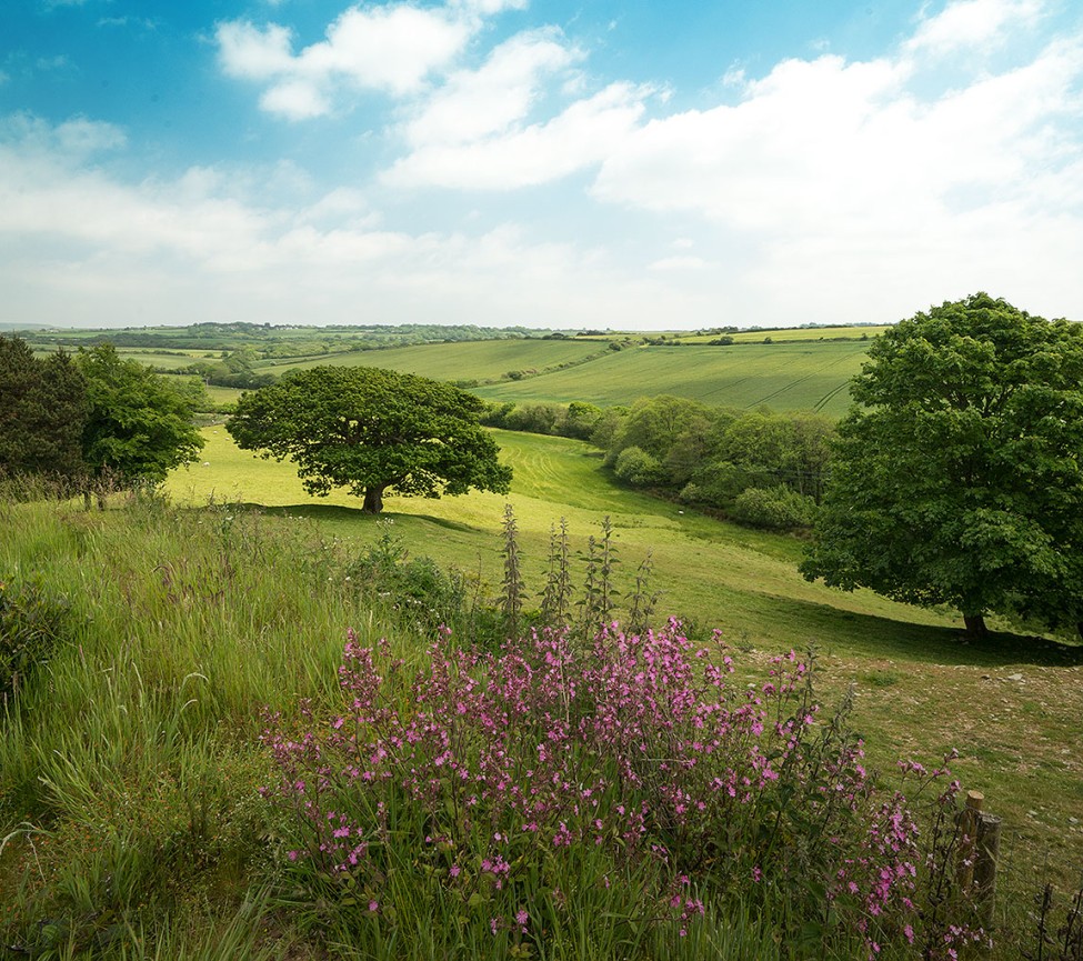 Nancolleth Caravan Park views over the countryside