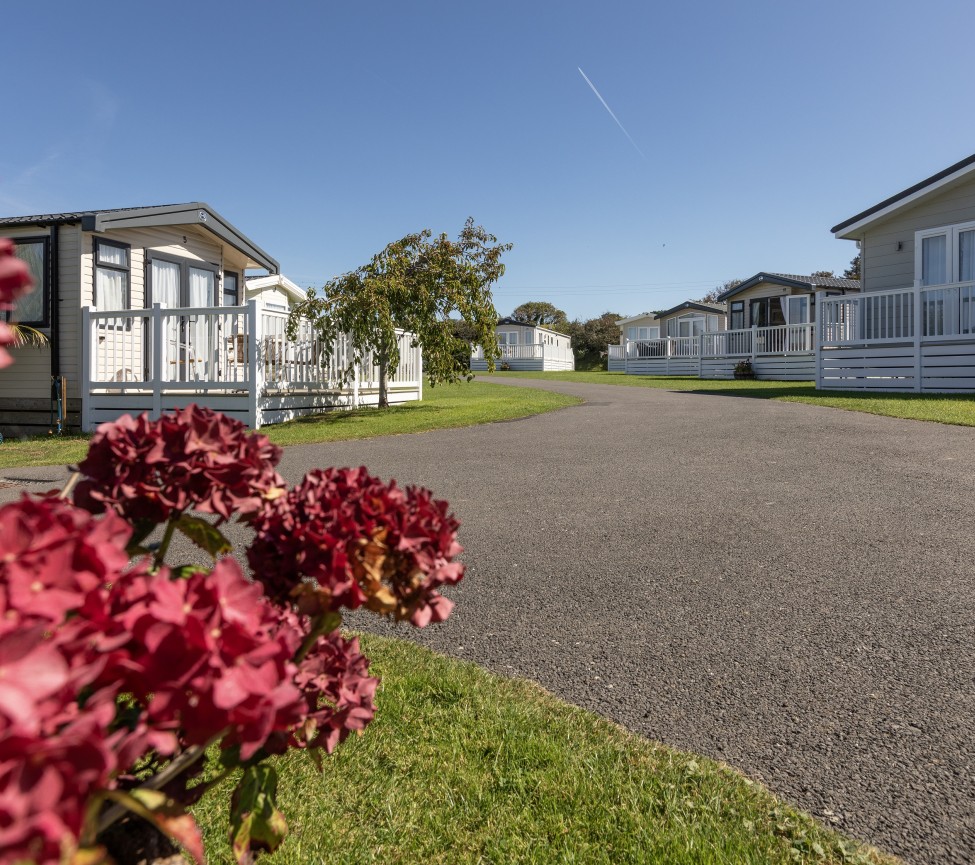 Treworgans Holiday Park in Cornwall