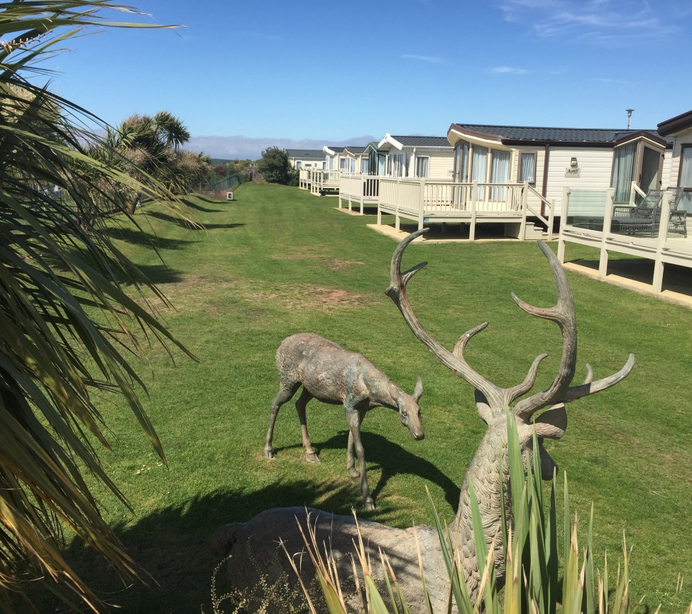 New Dolphin  Caravan park image