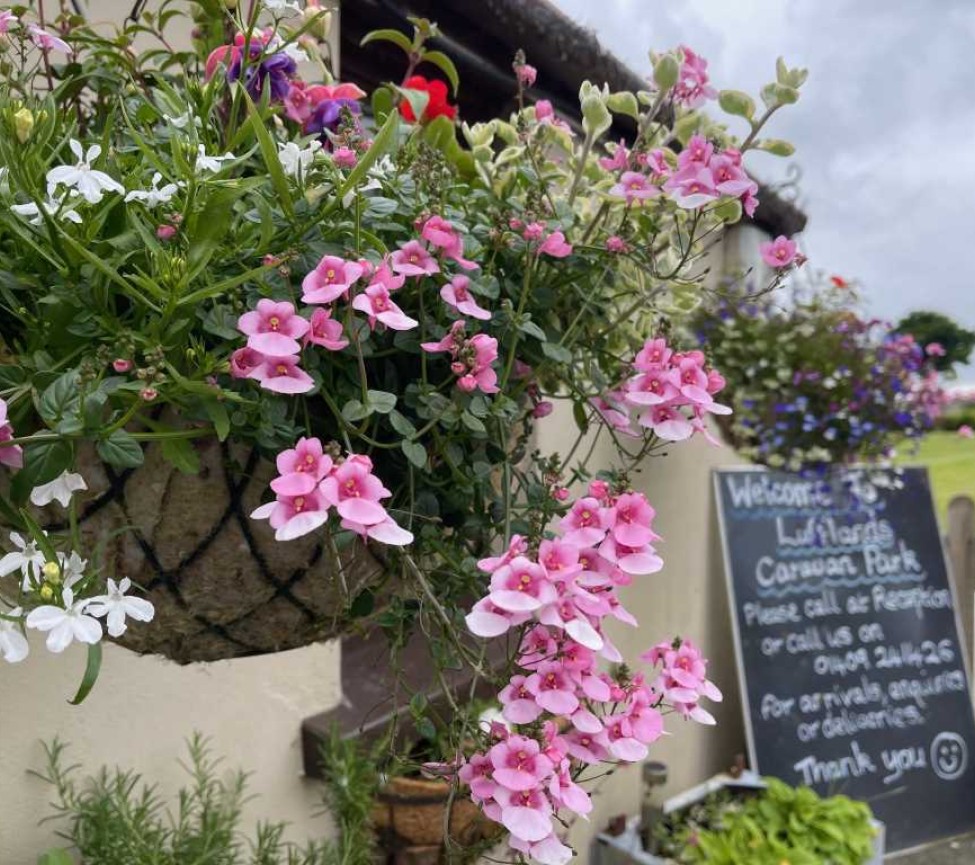 Entrance baskets