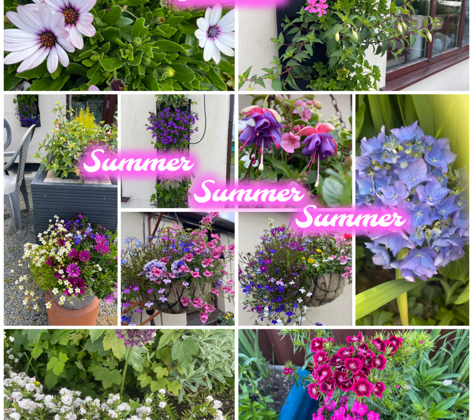 Summer collage