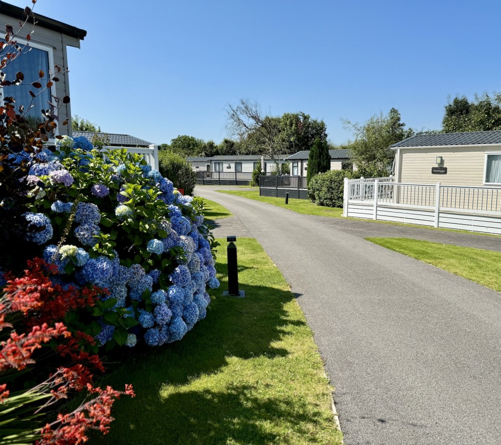 stunning setting and flowers around Silverbow Country Park