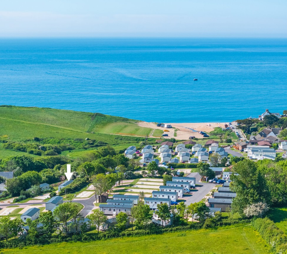 Golden Cap Debonair 38x12 Location