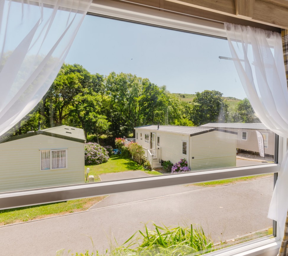 Golden Cap Mirage 35x12 View