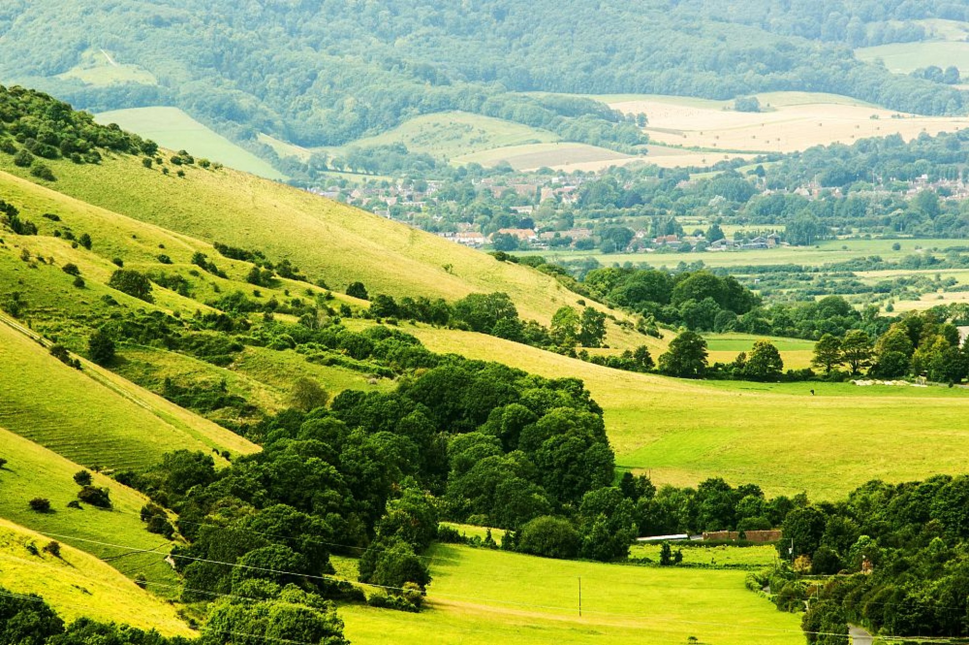 Sussex