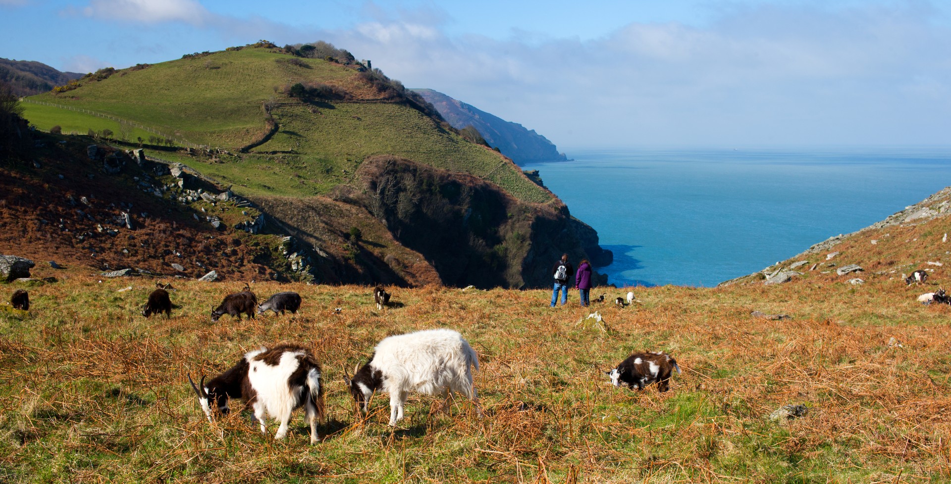 Lynton