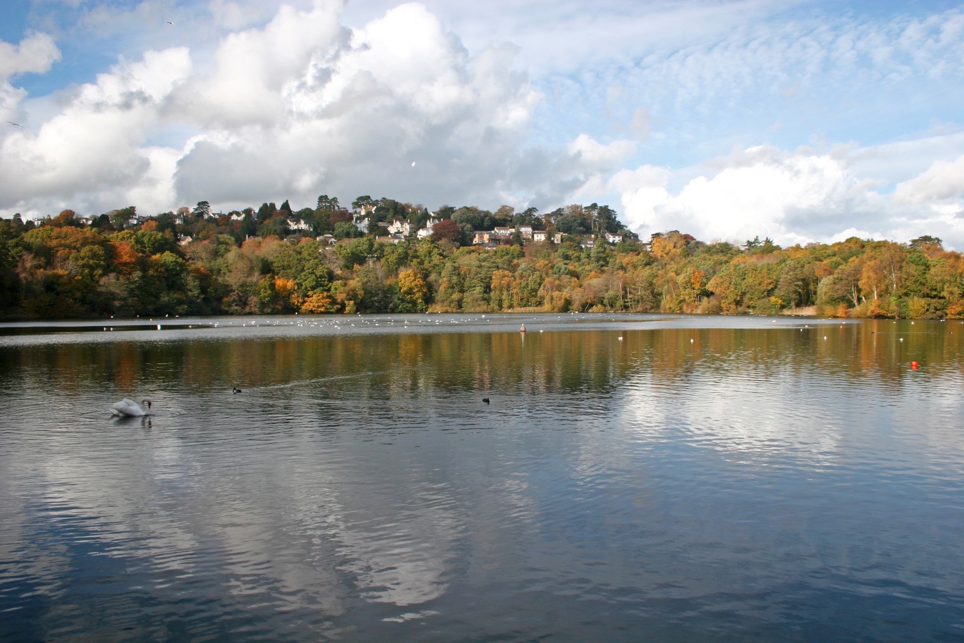 Newton Abbot