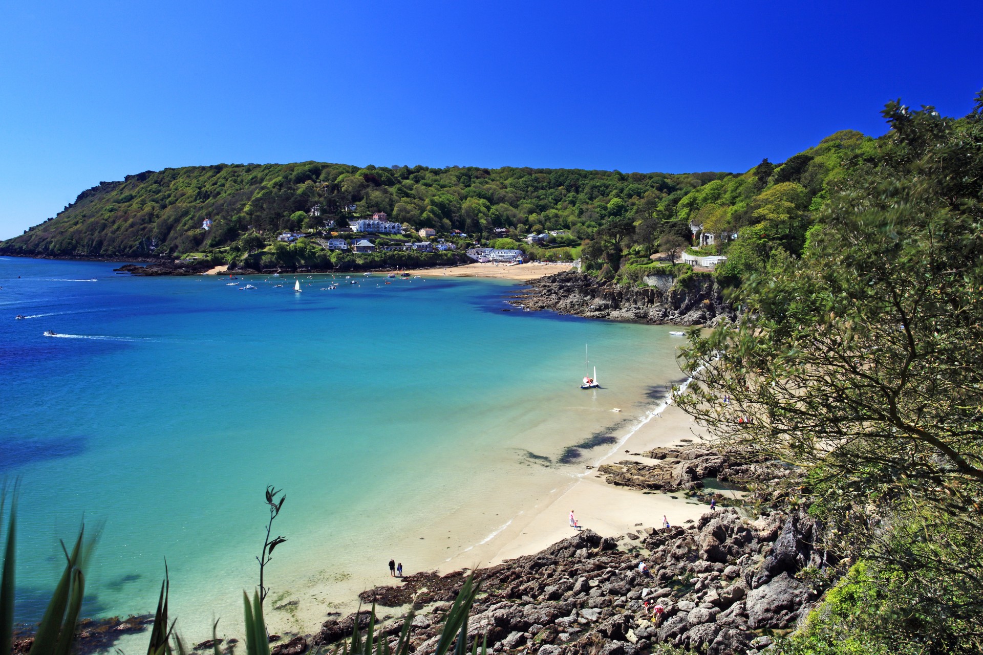 Salcombe