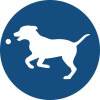 Dog friendly icon